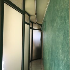 Dental kids περιστέρι